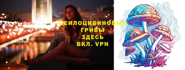 кокс Козельск